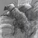 owenBone2