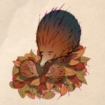 hedgehogs